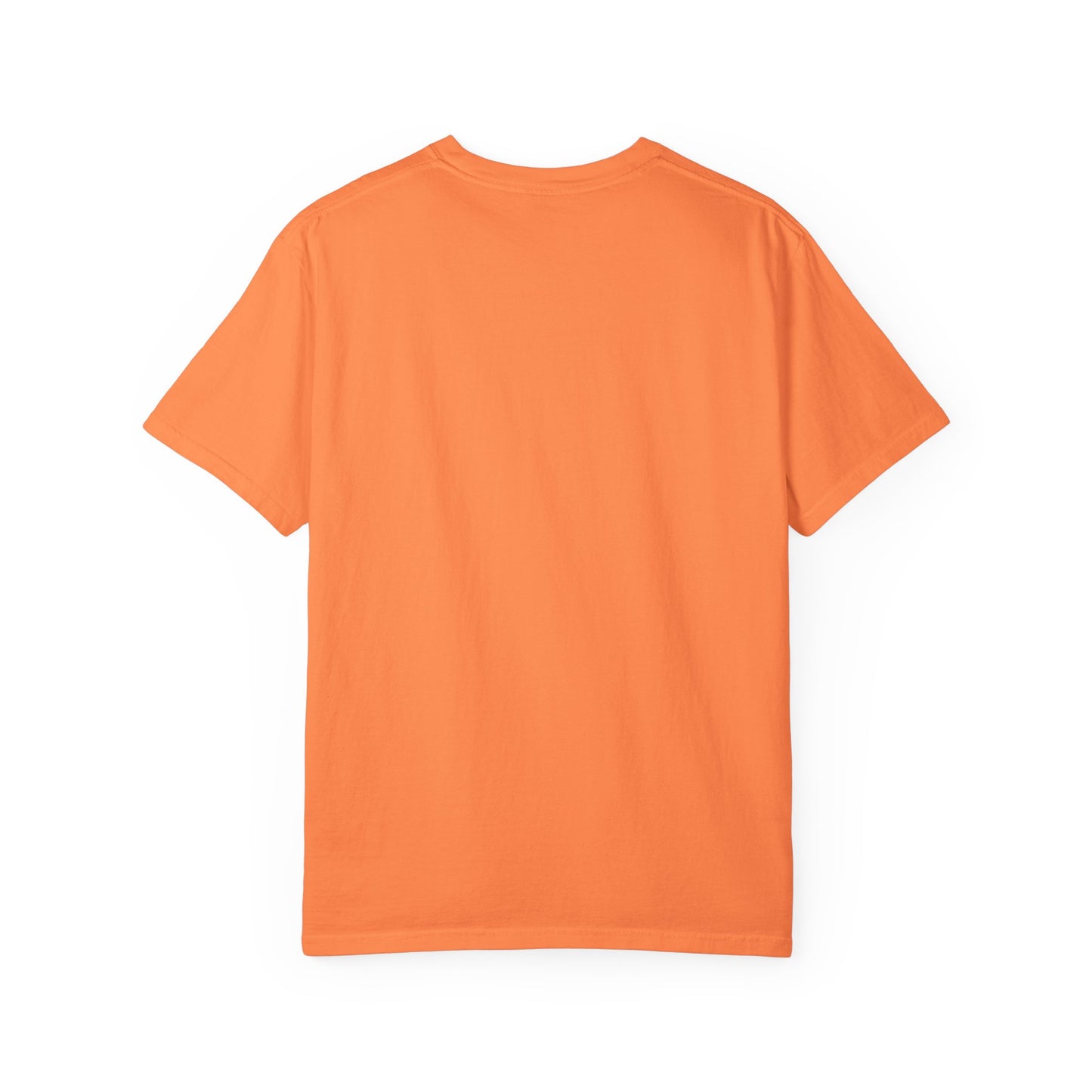 Unisex Garment-Dyed T-shirt with 'STOP THE GRIFT' Design, Casual Tee, Thought-Provoking Shirt, Gift for Activists, Statement Apparel, [...]